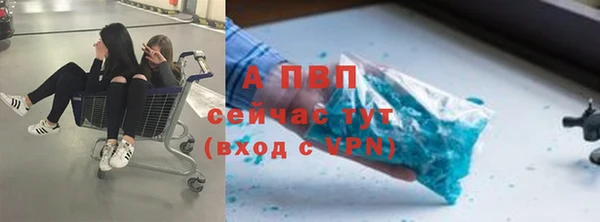 трава Абаза