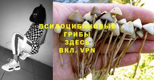 гидропоника Абинск