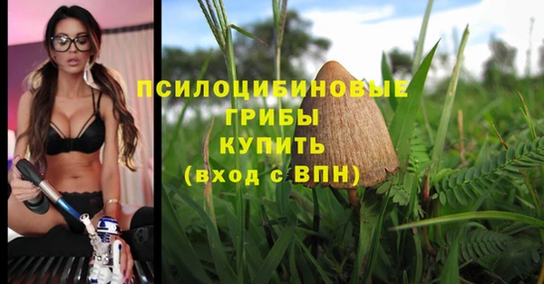 трава Абаза