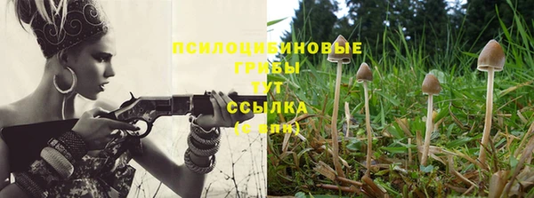 трава Абаза