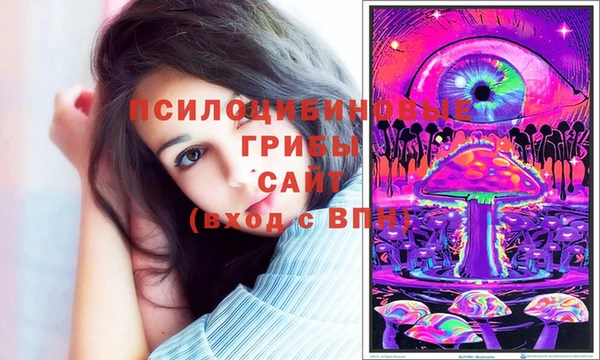 ALPHA PVP Приозерск