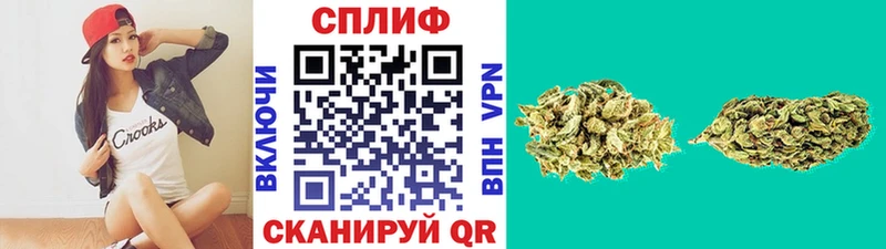 Марихуана конопля  Злынка 